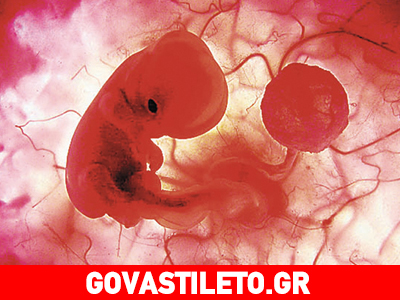 Το θαύμα της ζωής σε ένα βίντεο